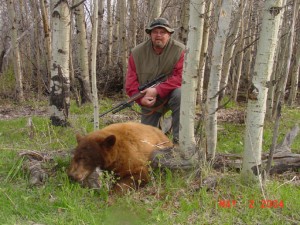 Guided Bear Hunts in Montana