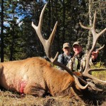 Elk Hunting in Montana