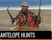 Antelope Hunts in Montana