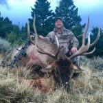 Archery Elk Hunts in Montana