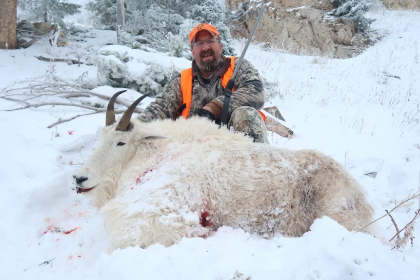 Mountain Goat Hunting Guides in Montana