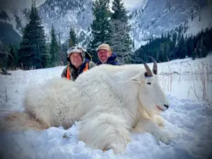 Two hunters pose with a mountain goat after a successful hunt