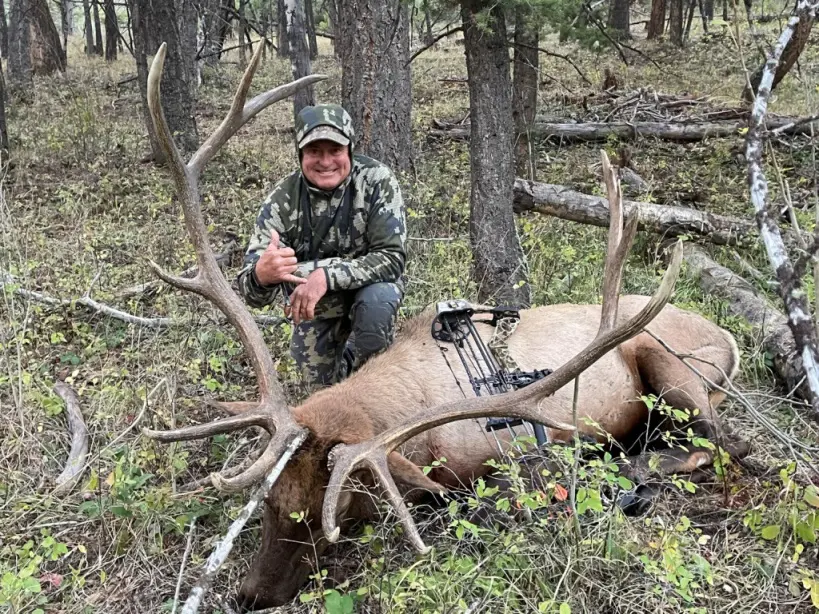 Essential Archery Techniques for a Successful Hunt Elk Ridge Outfitters